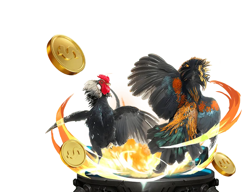 Lịch sử phát triển của 13win